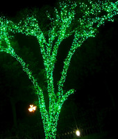 Светодиодная гирлянда "Спайдер" 5, D5201