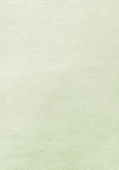 Обои Shiny2 серия 3004-4 (10*1,06 м) 9 рулонов/уп. - С-000057804 Обои Shiny2 серия 3004-4 (10*1,06 м) 9 рулонов/уп. - С-000057804