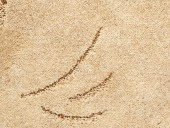 Ковролин ITC Zanzibar 283 коричневый - 5 м Ковролин ITC Zanzibar 283 коричневый - 5 м