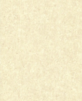 Обои Палитра 7248-21 (10*1,06) 6 рул/уп - С-000095589 Обои Палитра 7248-21 (10*1,06) 6 рул/уп - С-000095589