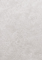 Обои Shiny2 серия 3016-5 (10*1,06 м) 9 рулонов/уп. - С-000056518 Обои Shiny2 серия 3016-5 (10*1,06 м) 9 рулонов/уп. - С-000056518