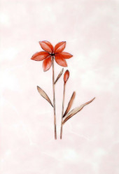 Декор нзкм Цветы розовый (200х300мм), 16шт в уп. - С-000114377