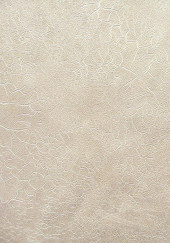 Обои Shiny2 серия 3016-2 (10*1,06 м) 9 рулонов/уп. - С-000056517 Обои Shiny2 серия 3016-2 (10*1,06 м) 9 рулонов/уп. - С-000056517